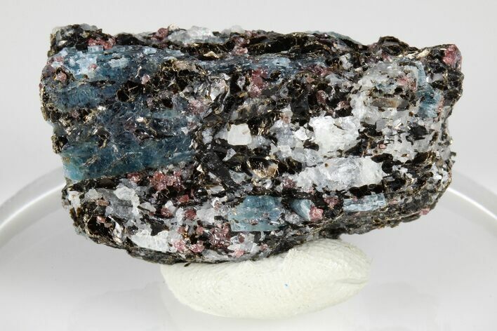 Blue Kyanite & Garnet in Biotite-Quartz Schist - Russia #178926